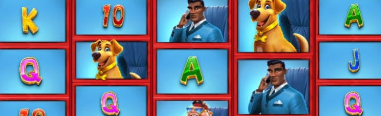 cash pay meios de pagamento ltda jogo